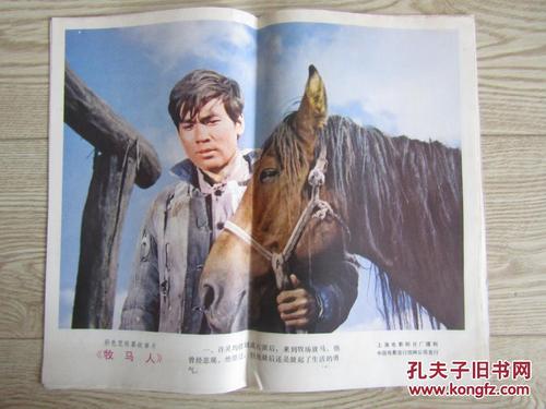 高中毕业证人头像白底